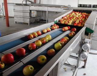 «Грін Гарден» відкрила фруктосховище у львівському селі